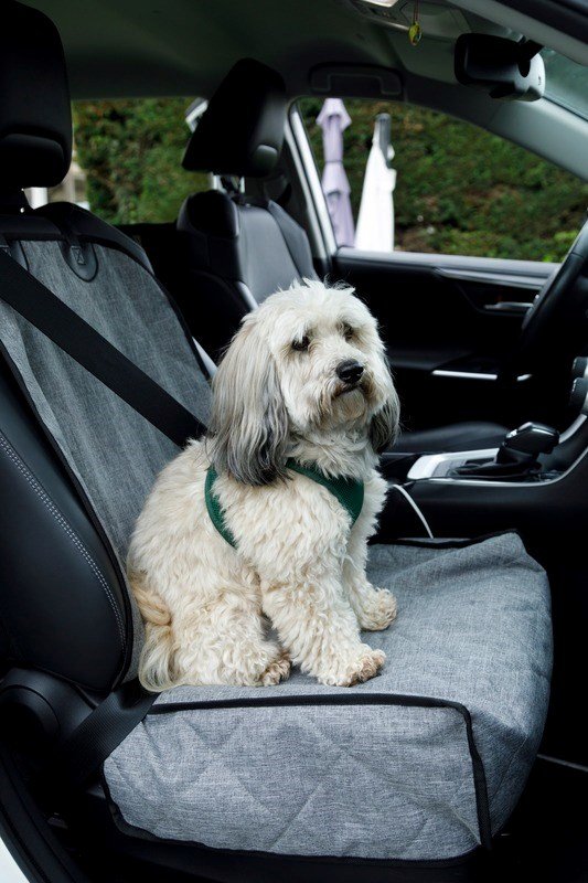 ZOLUX Nomad  beskyttelsesbetr�k til fors�de i bilen #4