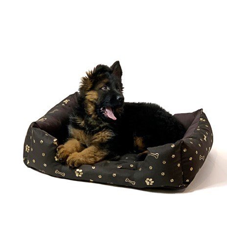 GO GIFT Hunde seng XXL - brun - 90x63x16 cm #3