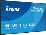 Monitor IIYAMA 65
