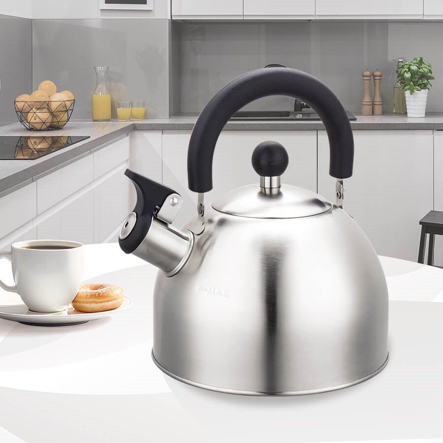 Maestro MR-1300 kedel 2 L Slv #3