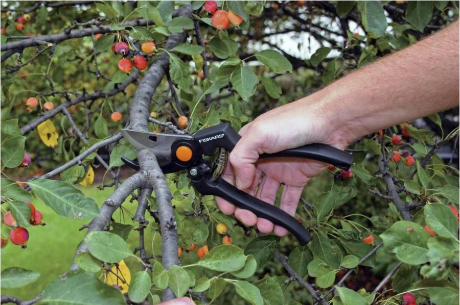 Fiskars 111960 beskringssaks Aflede Sort #3