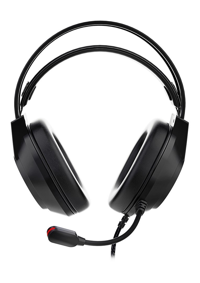 Deltaco Gaming DH220 USB Stereo Gaming Headset, RGB, Black #3