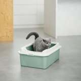 ROTHO Bonnie Eco Green - kattebakke #3