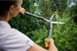 Fiskars 114800 hkkeklipper & -saks #3