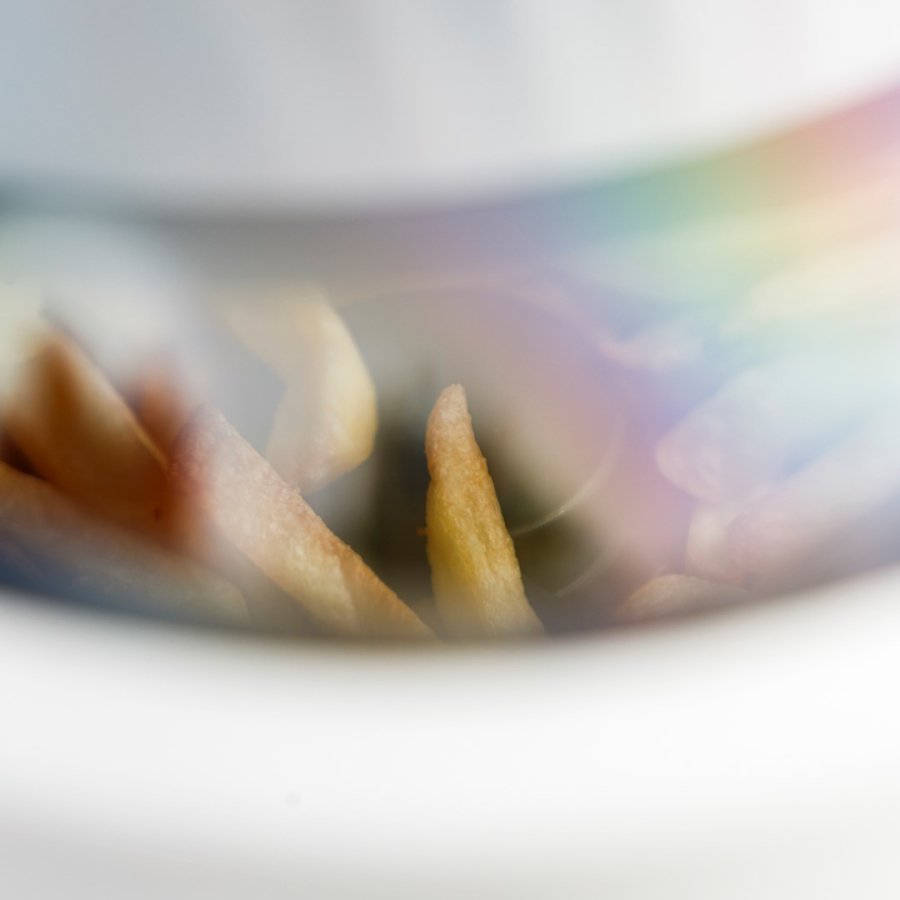 Taurus Aero Crisp Spin 6l fedtfri frituregryde #10