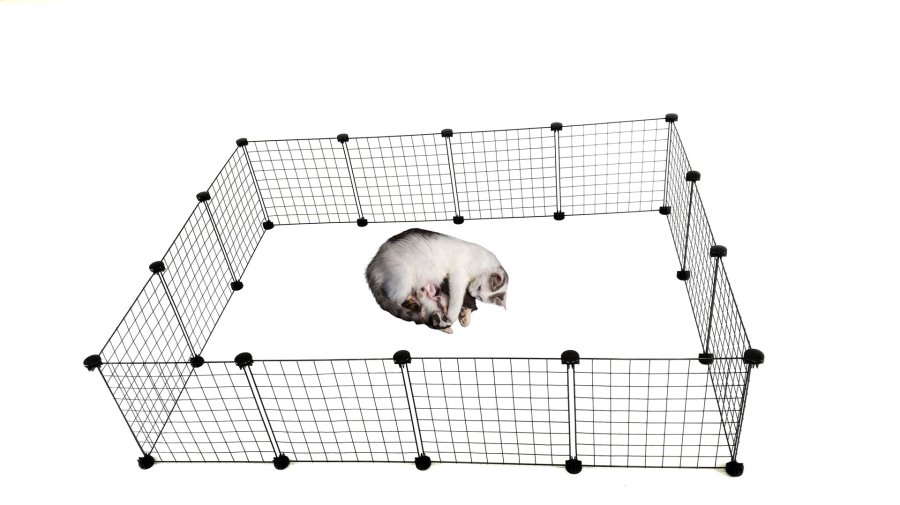 C&C Modulr hundeluftbane 180x75 cm #12