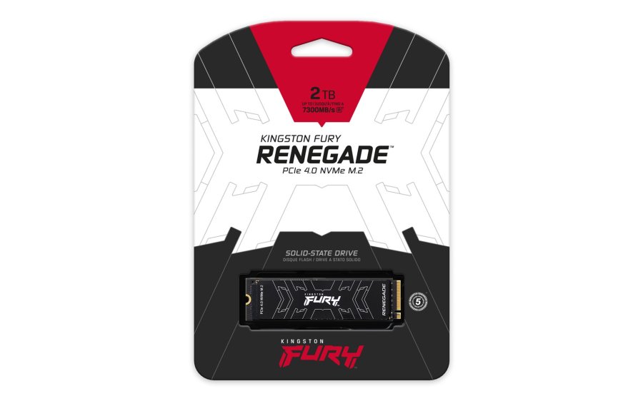Kingston Technology 2000G FURY RENEGADE M.2 2280 NVMe SSD #5