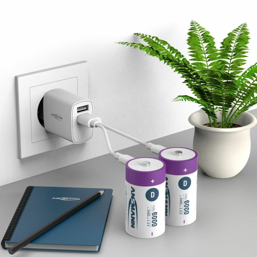 Ansmann 1314-0005 husholdningsbatteri Genopladeligt batteri D Lithium-Ion (Li-Ion) #8