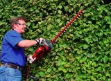 Einhell GE-EH 7067 Dobbeltklinge 700 W 3,73 kg #5