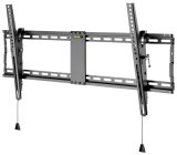 Wentronic Pro TILT (XL) 2,54 m (100