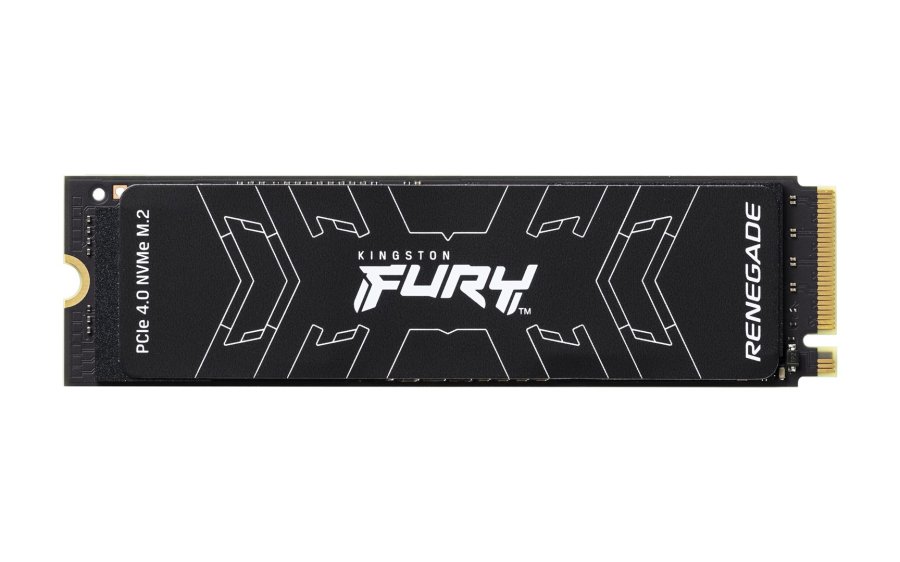 Kingston Technology 2000G FURY RENEGADE M.2 2280 NVMe SSD #1