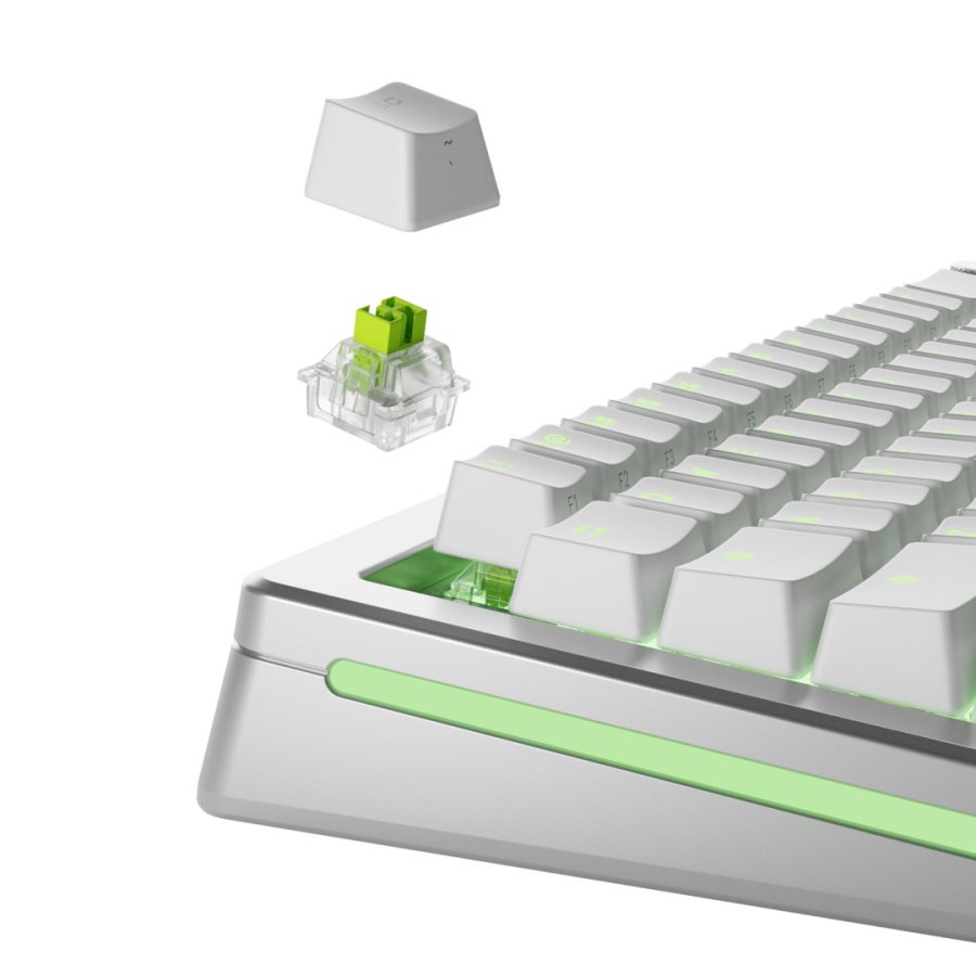 Glorious Gaming GLO-KB-ACC-SWT-RAPTOR-HE-36 tilbehr til tastatur Tastaturafbrydere #2