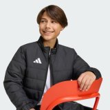 Adidas JZ9124_480 frakke & jakke #4