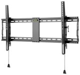 Wentronic Pro TILT (XL) 2,54 m (100