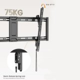 Equip 650361 tv-beslag 2,41 m (95