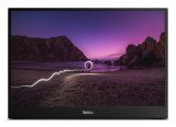 Lenovo ThinkVision M16 computersk�rm 40,6 cm (16