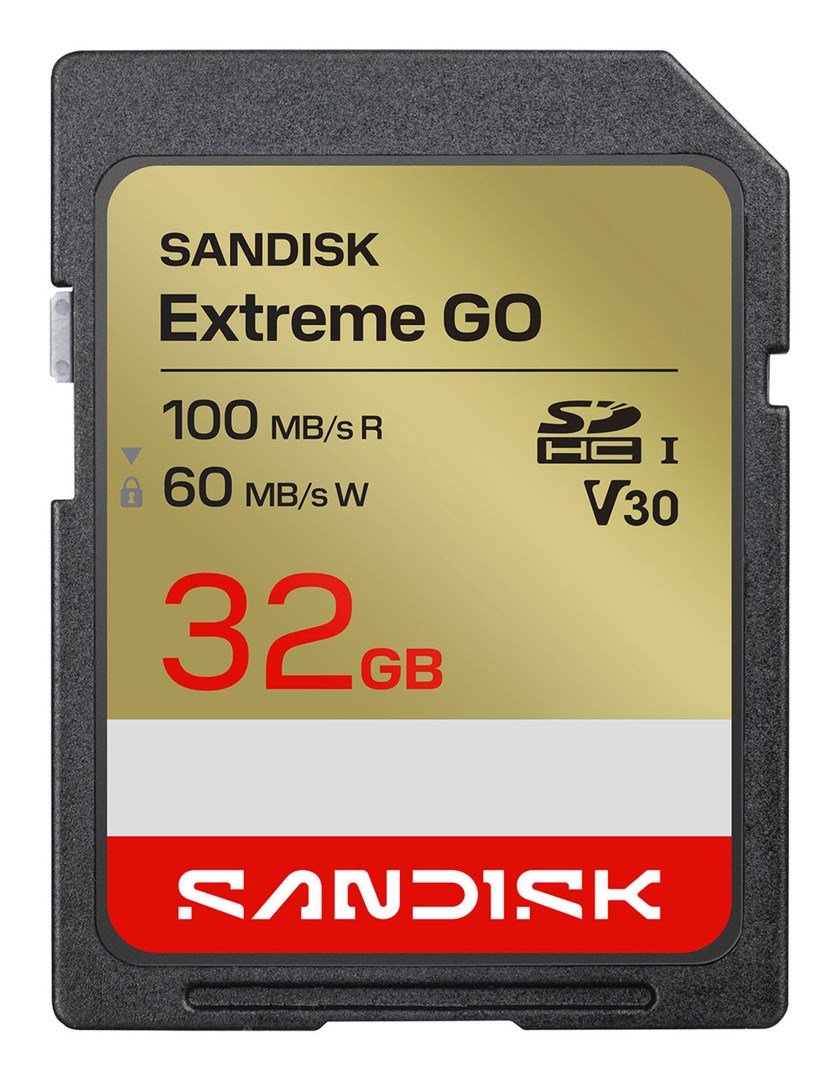 SanDisk Extreme GO 32 GB SDHC UHS-I #1