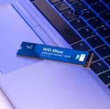Western Digital Blue SN5000 2 TB M.2 PCI Express 4.0 NVMe #4
