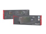 GENESIS Thor 420 RGB tastatur Spil USB QWERTY US International Slv #8