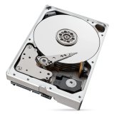 Seagate IronWolf Pro harddisk 10 TB 256 MB 3.5