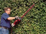 Einhell GC-EH 6055/1 Enkelt klinge 600 W 3,47 kg #25
