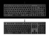 A4Tech FSTYLER FX60H (White Backlit) tastatur USB QWERTY Sort, Gr #5