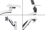 Digitus DA-90451 All-in-one PC/arbejdsstation montering & stativ 8 kg Sort, Hvid 81,3 cm (32