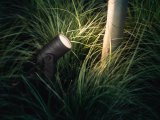 Philips Hue White and Color ambiance Lily udendrsspot #8