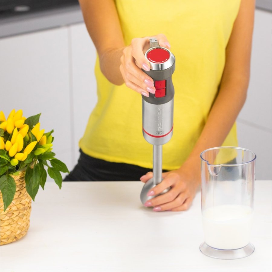 Zelmer ZHB4652 VARIO 0,5 L Nedsnkning blender 1400 W Gr, Slv #29
