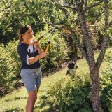 Fiskars LX92 Omg lopper #4