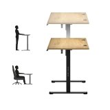 Leader 7.0 skrivebord #2