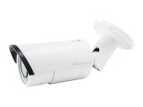 LevelOne FCS-5060 overv�gningskamera Kugle (form) IP-sikkerhedskamera Indend�rs & udend�rs 1920 x 1080 pixel Loft/v�g #1