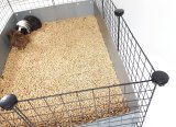 C&C Modulrt bur 4x2 + Loft 2x1+ gr rampe #4