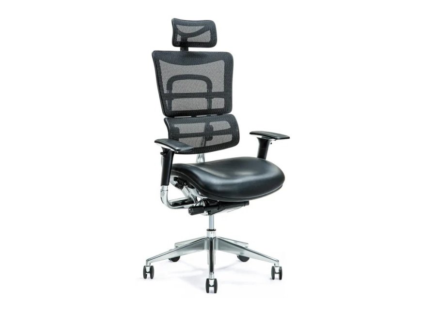 Ergonomisk kontorstol ERGO 800 sort #1