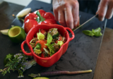 ZWILLING MINI COCOTTE PEPPER 470 ml  Rund Gryde bradepande #22