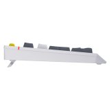 HATOR Icefall tastatur Spil USB QWERTY US engelsk Hvid #3