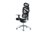 Ergonomisk kontorstol ERGO 700 gr #2