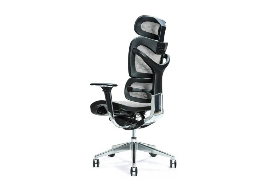 Ergonomisk kontorstol ERGO 700 gr #2