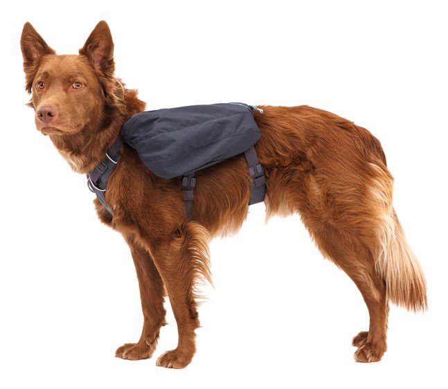 Ruffwear 50601-042S1 sadeltaske til hund XS Gr� Polyester #4