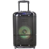 Denver TSP-306 Public Address (PA) hjttaler #10