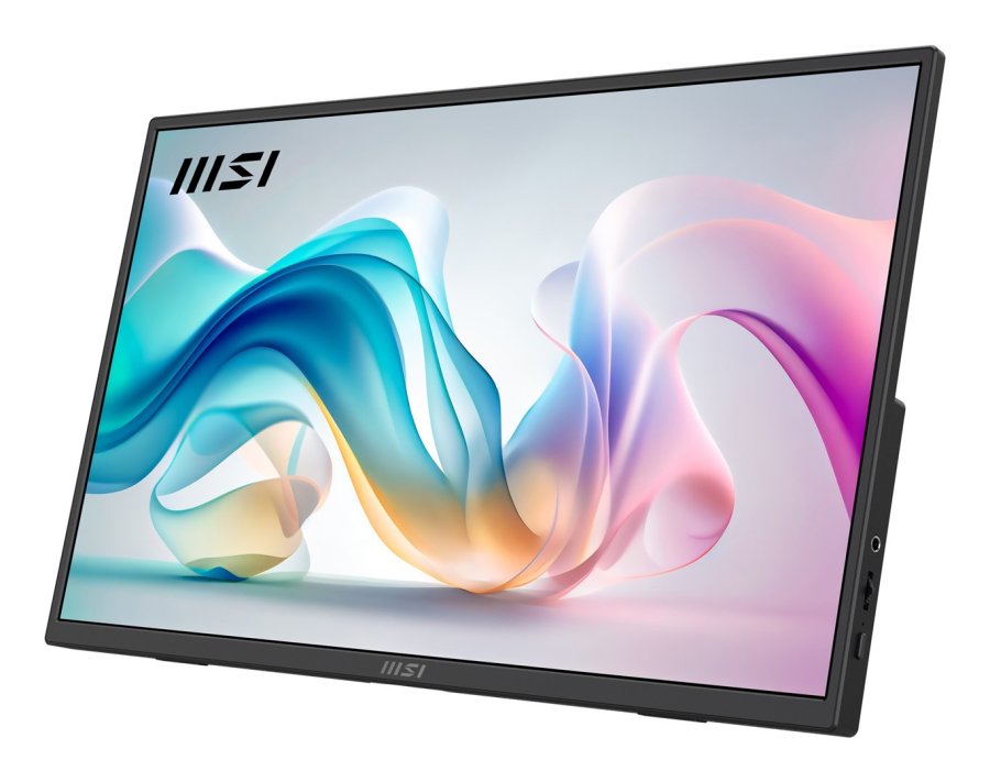MSI PRO MP165DE E6 B�rbart tv og sk�rm B�rbar sk�rm Sort 39,6 cm (15.6