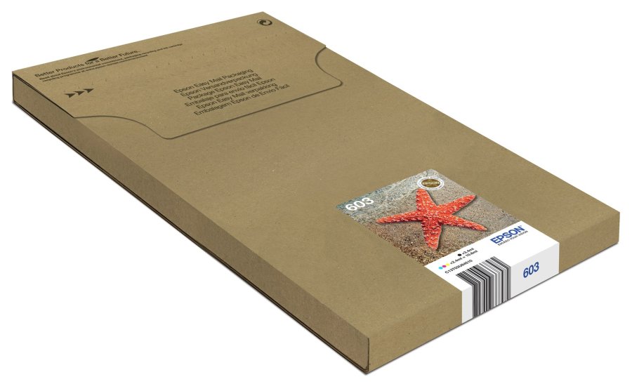 Epson Multipack 4-colours 603 EasyMail #1