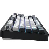 Dark Project DPKB_BUSHIDO_87_ISO tastatur Spil USB QWERTZ Dansk, Engelsk, Finsk, Tysk, Nordisk, Norsk, Spansk, Svensk, UK engelsk, UK international Sort #11