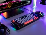 Mekanisk tastatur Tracer GAMEZONE EVO1 HOT SWAP 63 (Grey) TRAKLA47297 #4