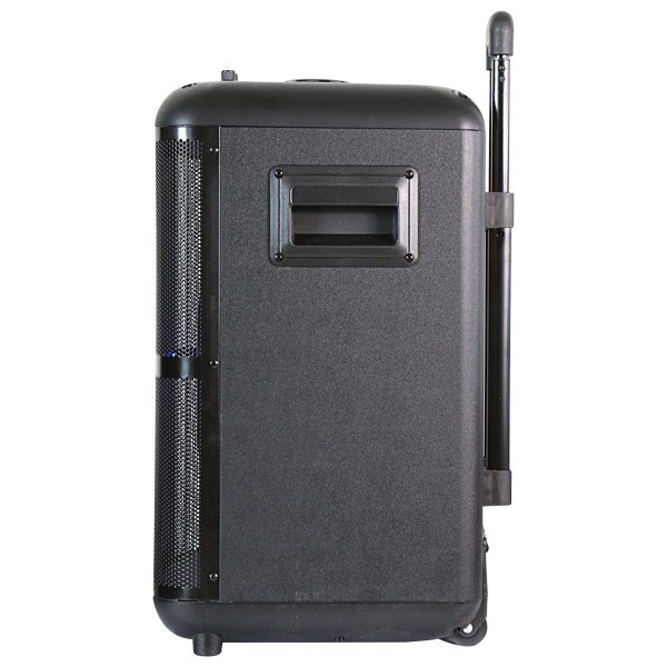 Denver TSP-306 Public Address (PA) hjttaler #4