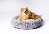 GO GIFT Shaggy grey XL - seng til kledyr - 80 x 83 x 10 cm #5