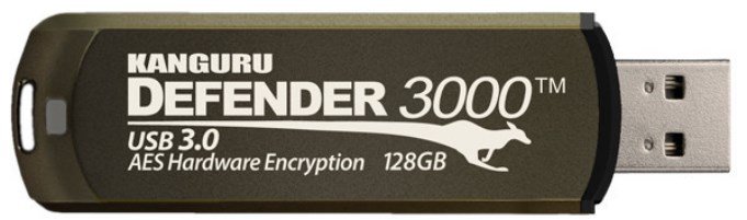 Kanguru Defender 3000 - 16GB #1