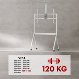 Stativ/vogn til tv Maclean, hylde til kamera, p hjul, 55-100