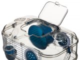 ZOLUX Rody 3 Mini Bur - Bl #2