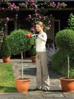 Black & Decker GSL300 elektrisk hkkeklipper Dobbeltklinge 600 g #5